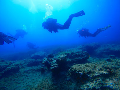 Teos Divers