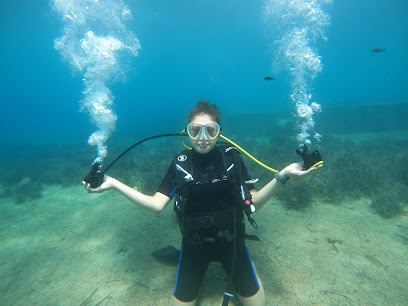 Elysion Dive Center