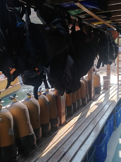 Olympos Diving Boat (Dalış Teknesi)