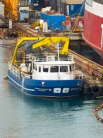 DENİZ YILDIZI & OPİ MARİNE OFF SHORE SUALTI TEKNOLOJİLERİ