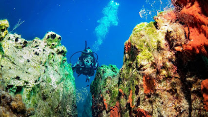 DATÇA REEF DIVING Dalış Merkezi