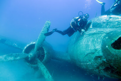 Stingray Diving