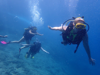 Seal Dive Center Alanya Vıp