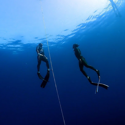 Life Aquatic Freediving & Yoga School.