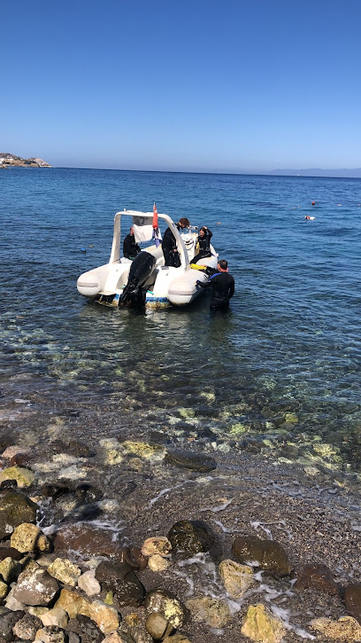 Bluegate Divers