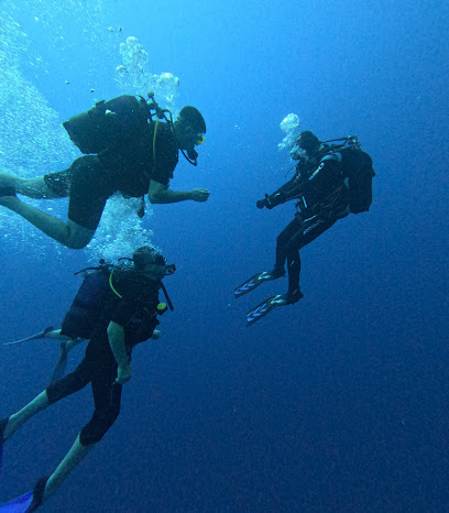 Blue Fun Diving and Rescue Center