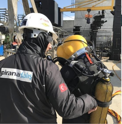 PİRANA DALIŞ GEMİ SANAYİ DENİZ İNŞAATLARI VE SUALTI DALGIÇ HİZMETLERİ LTD.ŞTİ.
