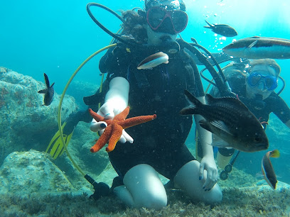 Gökçeada Diving Center