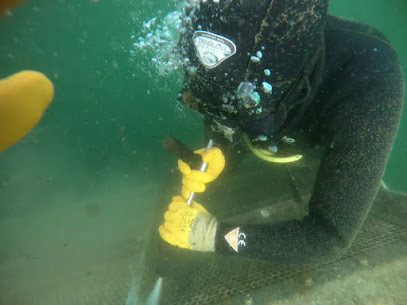 Stingray Diving Center