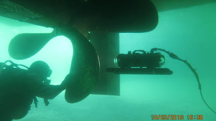 Su Dünyası Marine