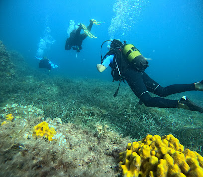 Divepark Gökçeada Diving Center