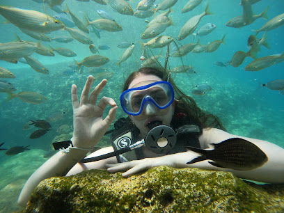 Kemer Octopus Diving Center