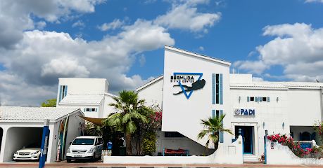 Bermuda Diving Center