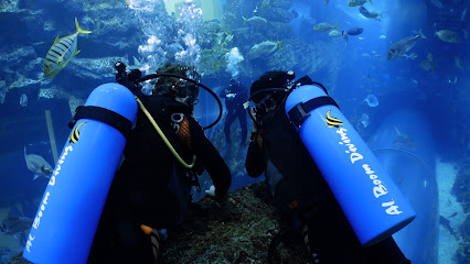 Diving in Dubai Mall Aquarium with Al Boom Diving