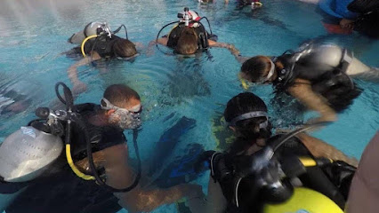 Paradise Blue Diving Center