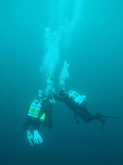 Scuba Diving Tasmania