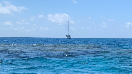 Rum Runner Cairns