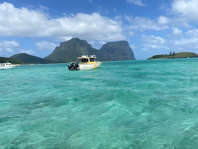 Dive Lord Howe