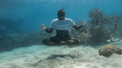 OceanSense Freediving - Gold Coast