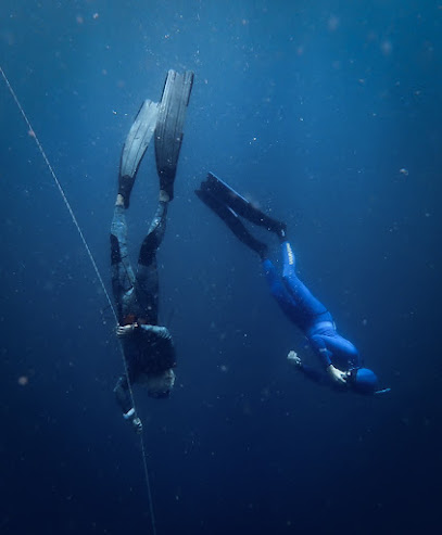 FreediveFNQ
