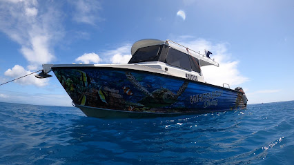 Whitsunday Dive Adventures