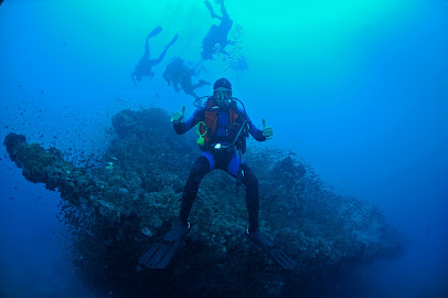 Yongala Dive