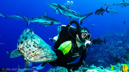 Mike Ball Dive Expeditions