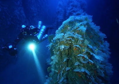 Sydney Dive Charters