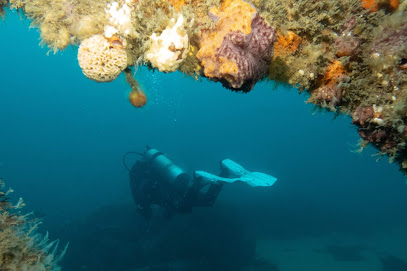 Dive Eden