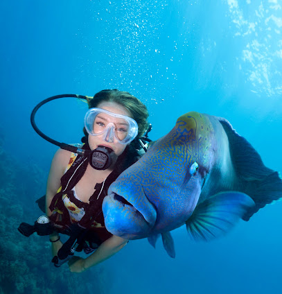 Divers Den