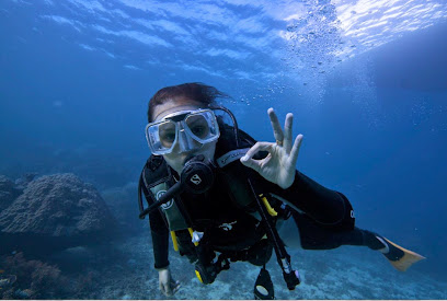 Australia Dive