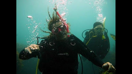 The Dive Shack