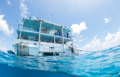 Australia Liveaboard