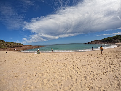 nelson bay diving spot