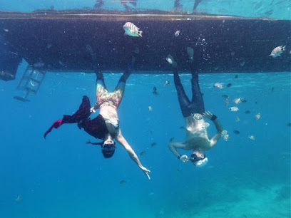 Apnea Art Freediving