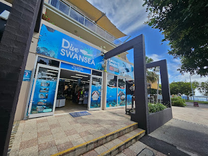 Dive Swansea Newcastle