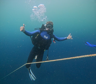 Subsurface Scuba