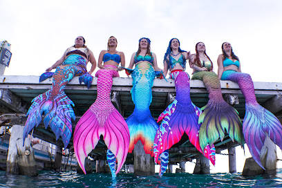 The Mermaid Connection