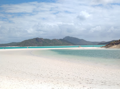 Mantaray Charters