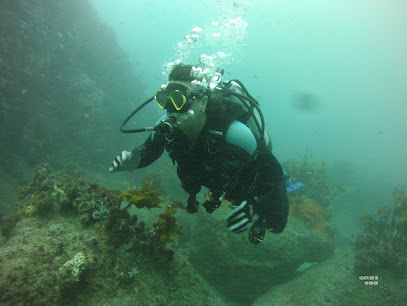 SCUBA Haven