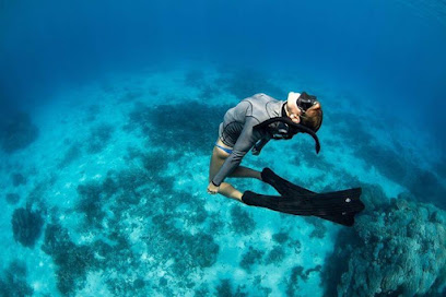 Freedive Aotearoa