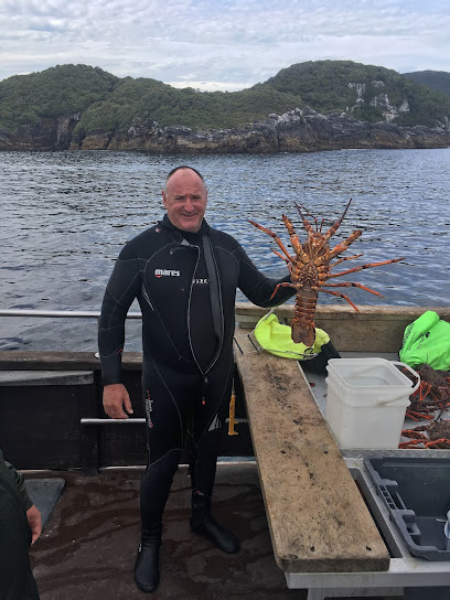 Whitianga Dive Charters