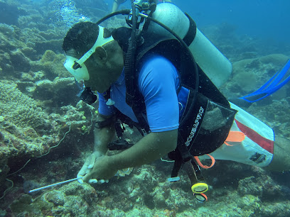 Subsurface Fiji