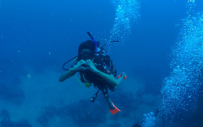 PRO Dive PNG