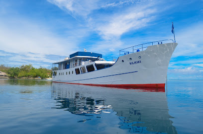 Bilikiki Cruises