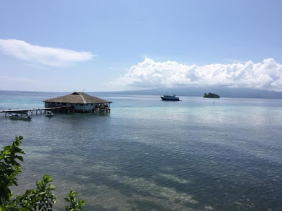 Solomon Islands Dive Expeditions