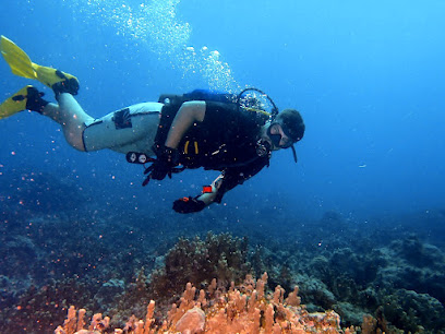 Wanderlust Divers Guam