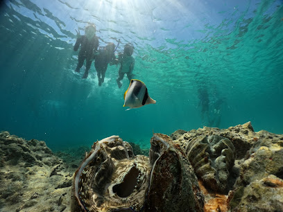 Belau Diving