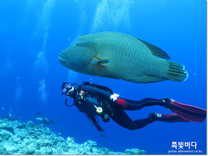 palau adventuer dive