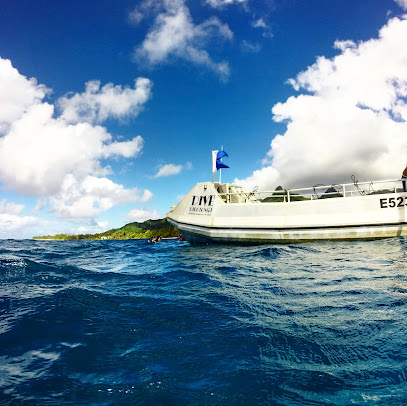 Dive Rarotonga